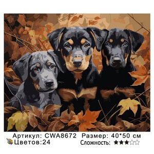PH 4050 CWA8672