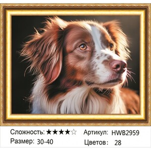 AM 30X40 HWB2959