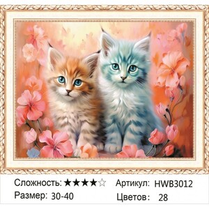AM 30X40 HWB3012