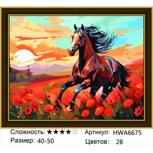 AM 40x50 HWA6675