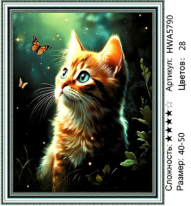 �� 40�50 HWA5790