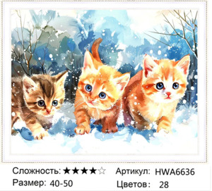 �� 40�50 HWA6636