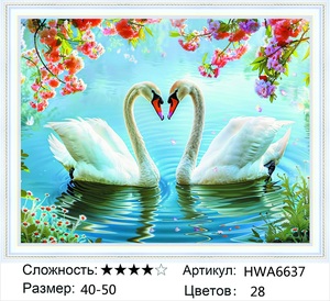 �� 40�50 HWA6637+