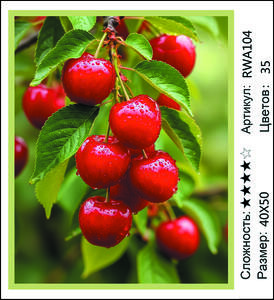 �� 40�50 RWA104+