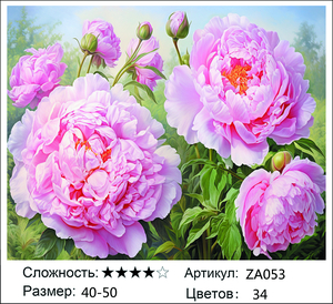 ������� ZA053, 40�50 ��
