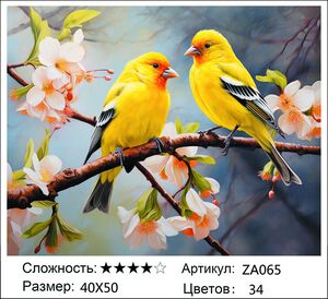 ������� ZA065, 40�50 ��