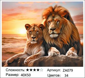 ������� ZA079, 40�50 ��