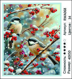 AM 40x50 RWA068