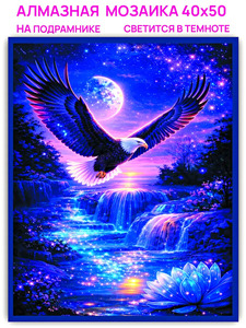 AM 40x50 LFWA0119