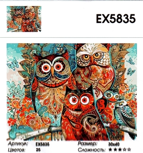 РЗ EХ5835 "Цветные совы", 30х40 см